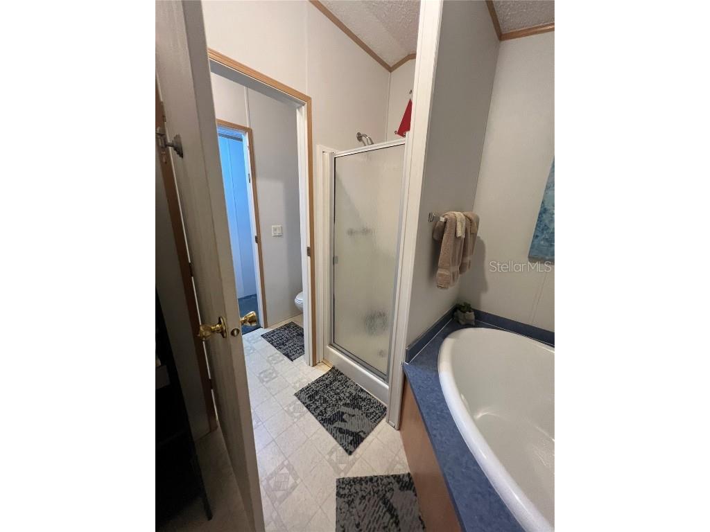 589 SW Cumorah Hill Street Fort White FL 32038 OK225802 image12