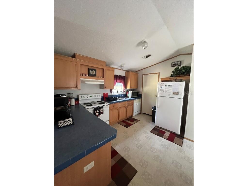 589 SW Cumorah Hill Street Fort White FL 32038 OK225802 image14