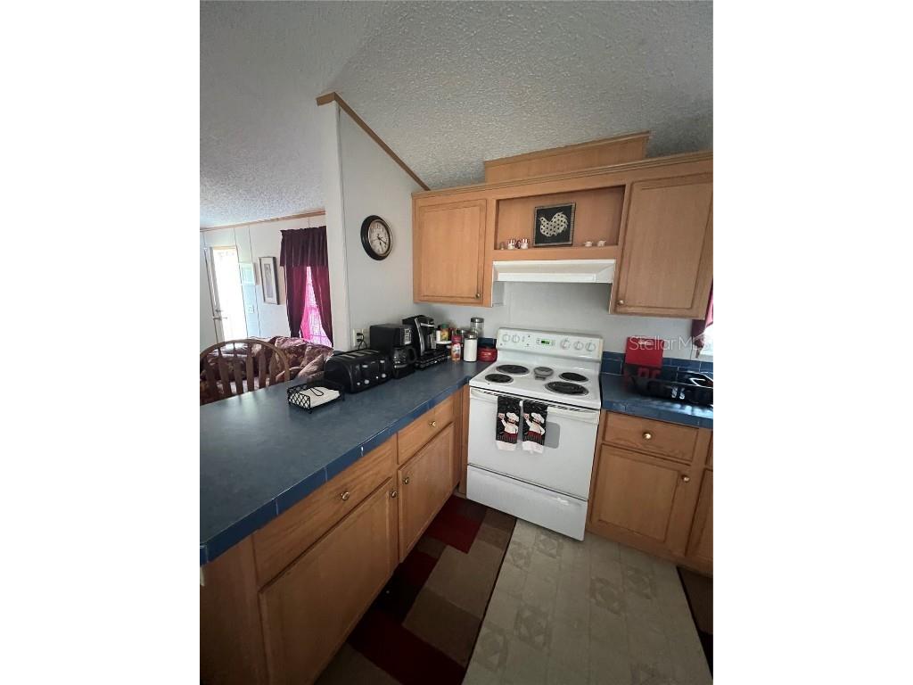 589 SW Cumorah Hill Street Fort White FL 32038 OK225802 image18