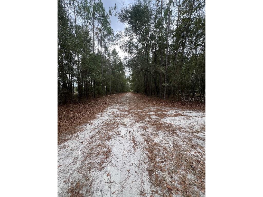 589 SW Cumorah Hill Street Fort White FL 32038 OK225802 image3