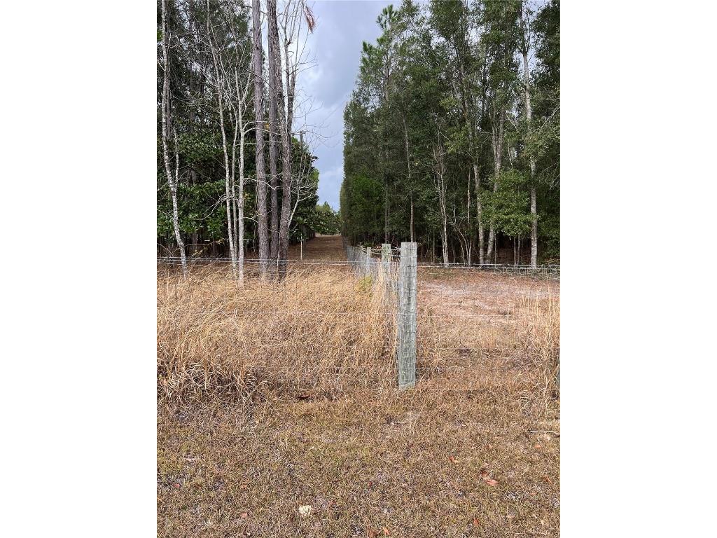 589 SW Cumorah Hill Street Fort White FL 32038 OK225802 image33