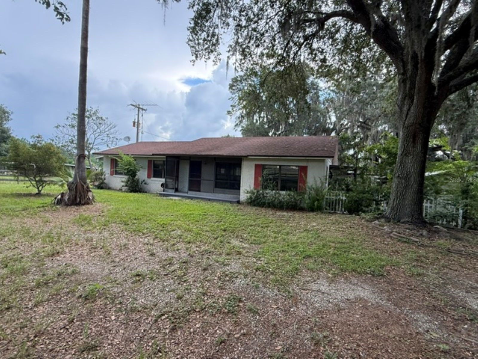 5890 SE 145th Street Summerfield FL 34491 OM726826 image1