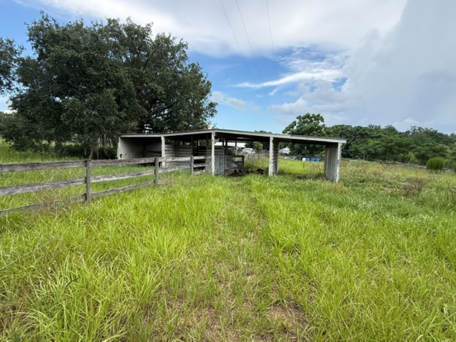 5890 SE 145th Street Summerfield FL 34491 OM726826 image3