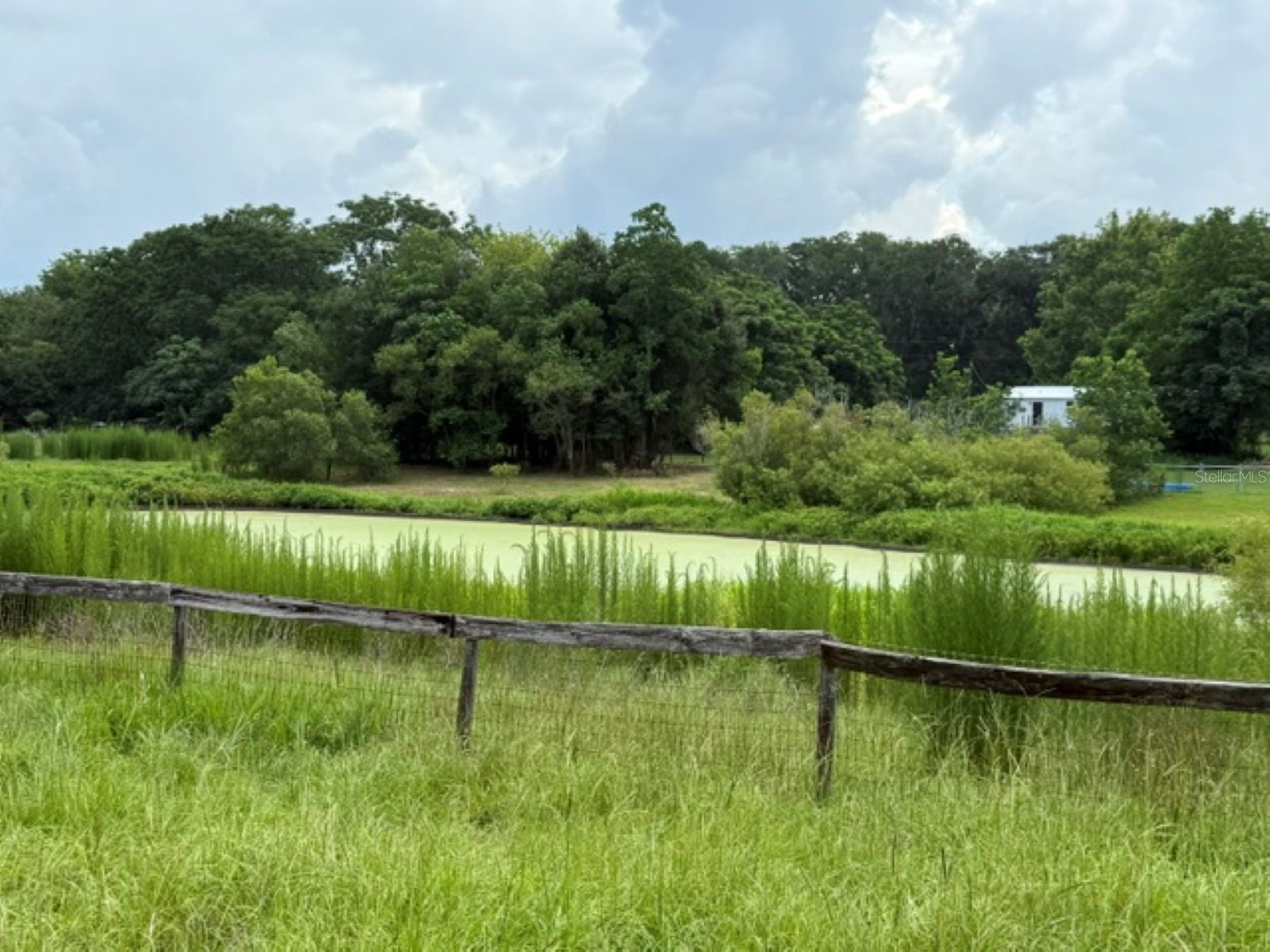 5890 SE 145th Street Summerfield FL 34491 OM726826 image5