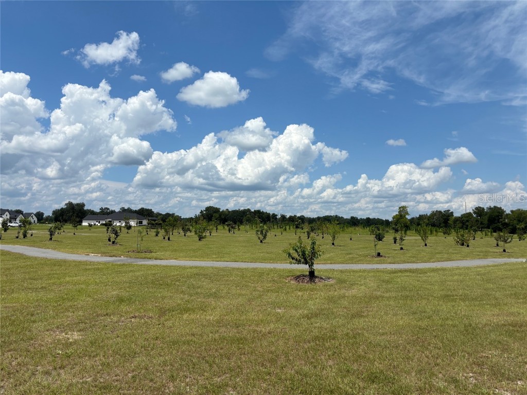 5890 SW 124th Way Archer FL 32618 GC524631 image4