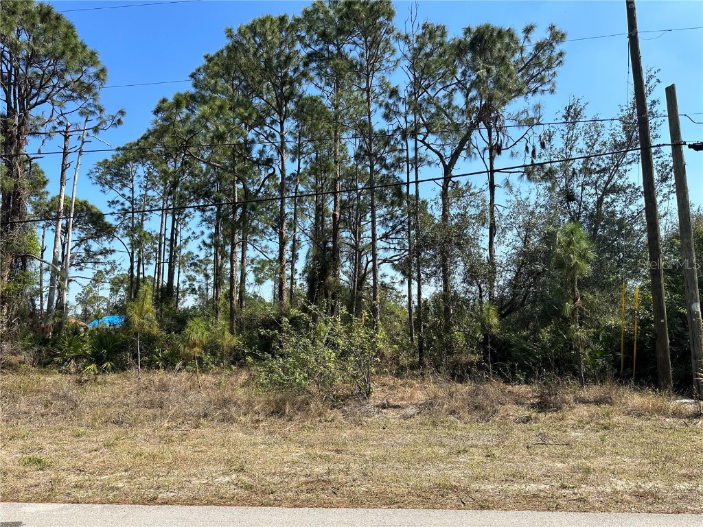 59 Douglas Avenue S Lehigh Acres FL 33976 N6125552 image1