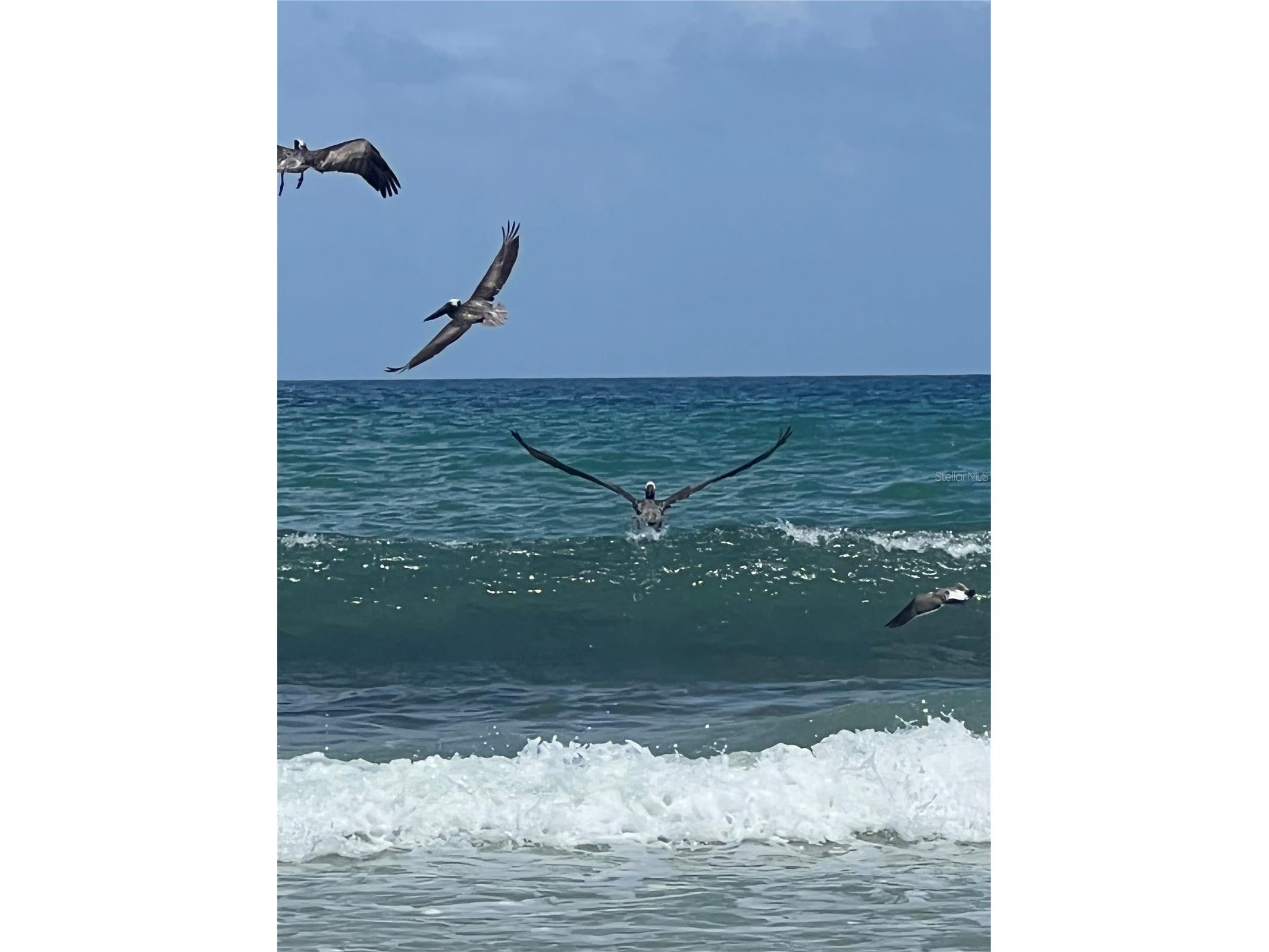 59 Flagler Drive Palm Coast FL 32137 FC318312 image58