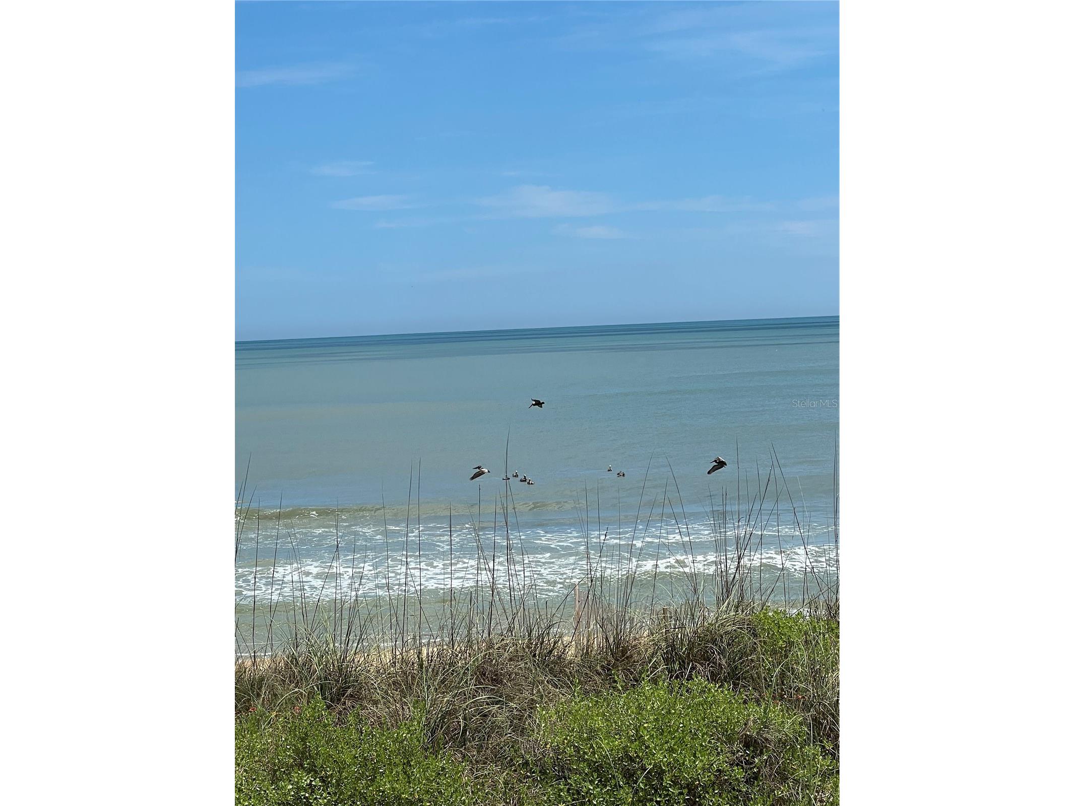 59 Flagler Drive Palm Coast FL 32137 FC318312 image61
