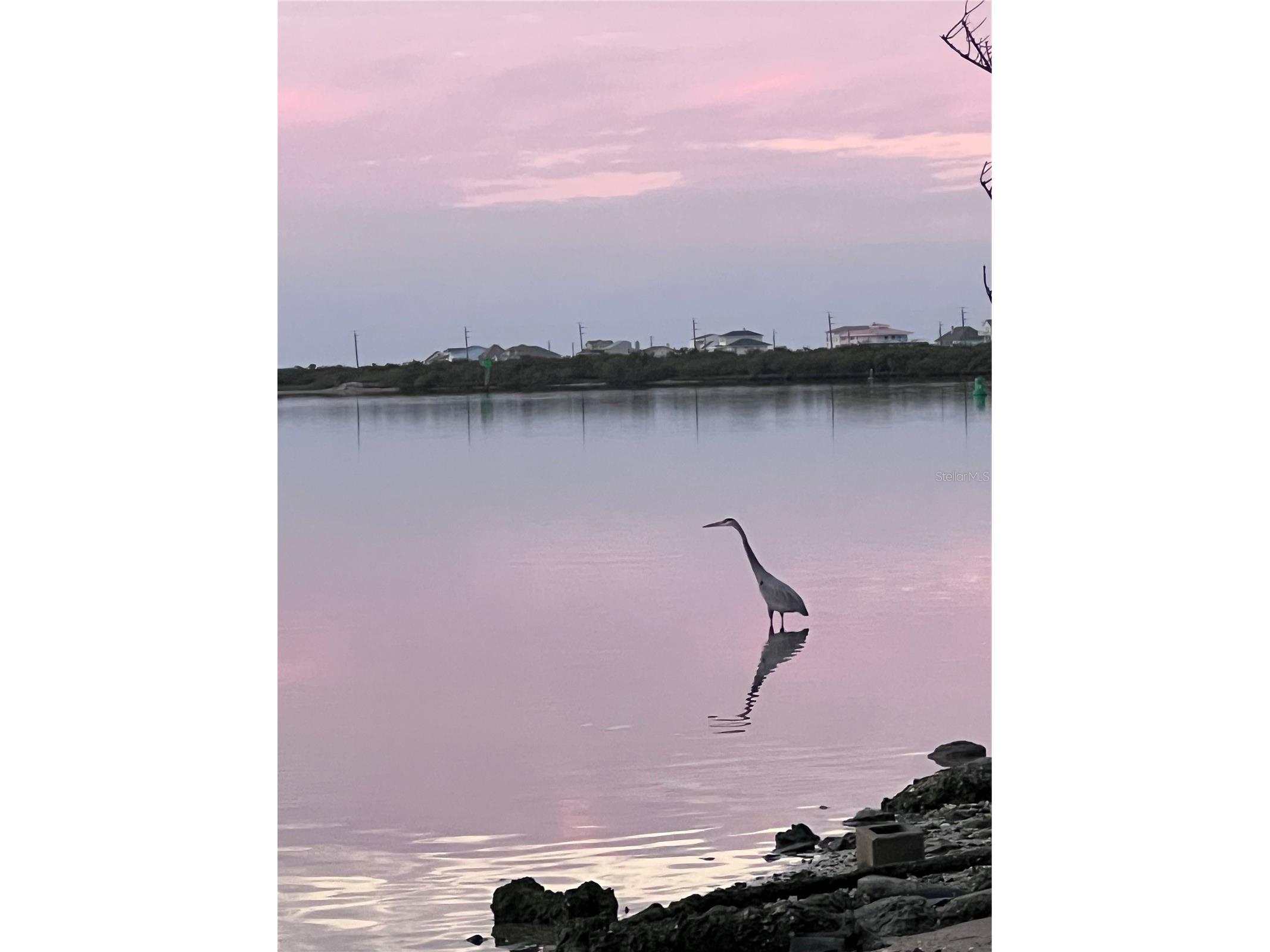 59 Flagler Drive Palm Coast FL 32137 FC318312 image62