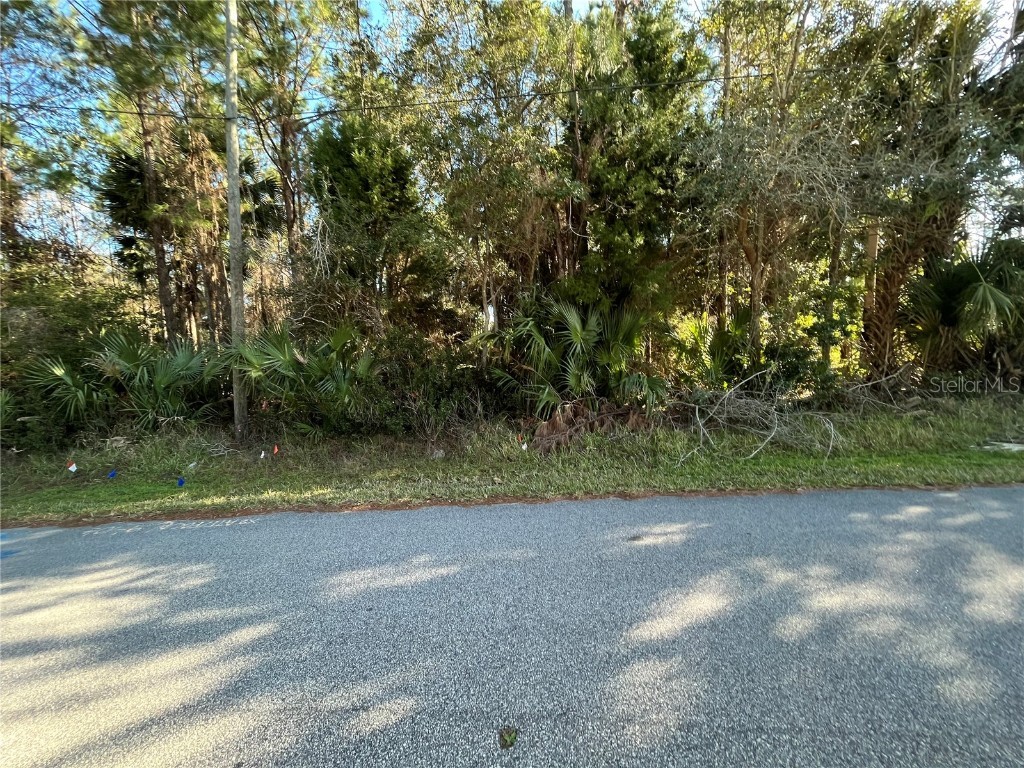 59 Luther Drive Palm Coast FL 32137 OK222362 image1