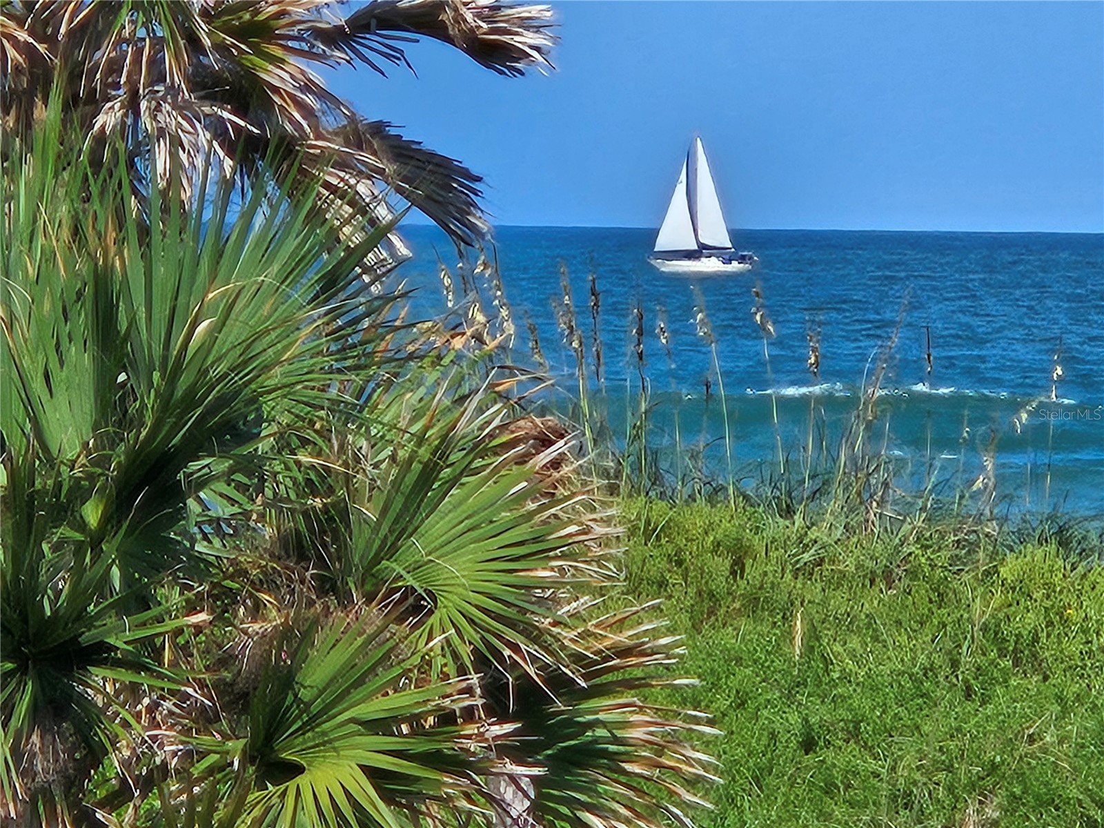 59 Ocean Street Palm Coast FL 32137 FC317118 image40