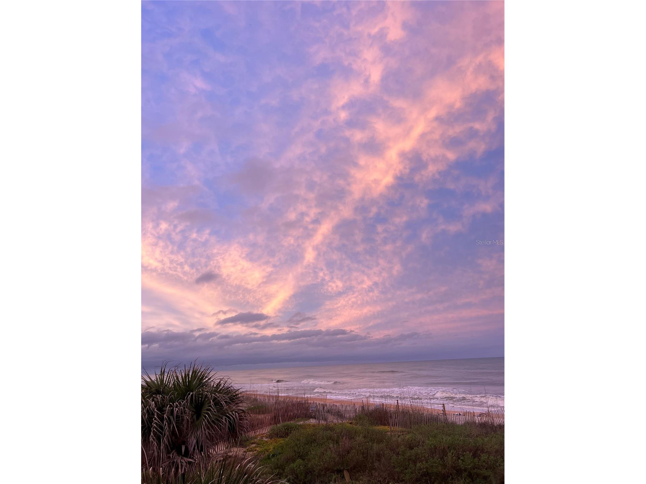 59 Ocean Street Palm Coast FL 32137 FC317118 image41