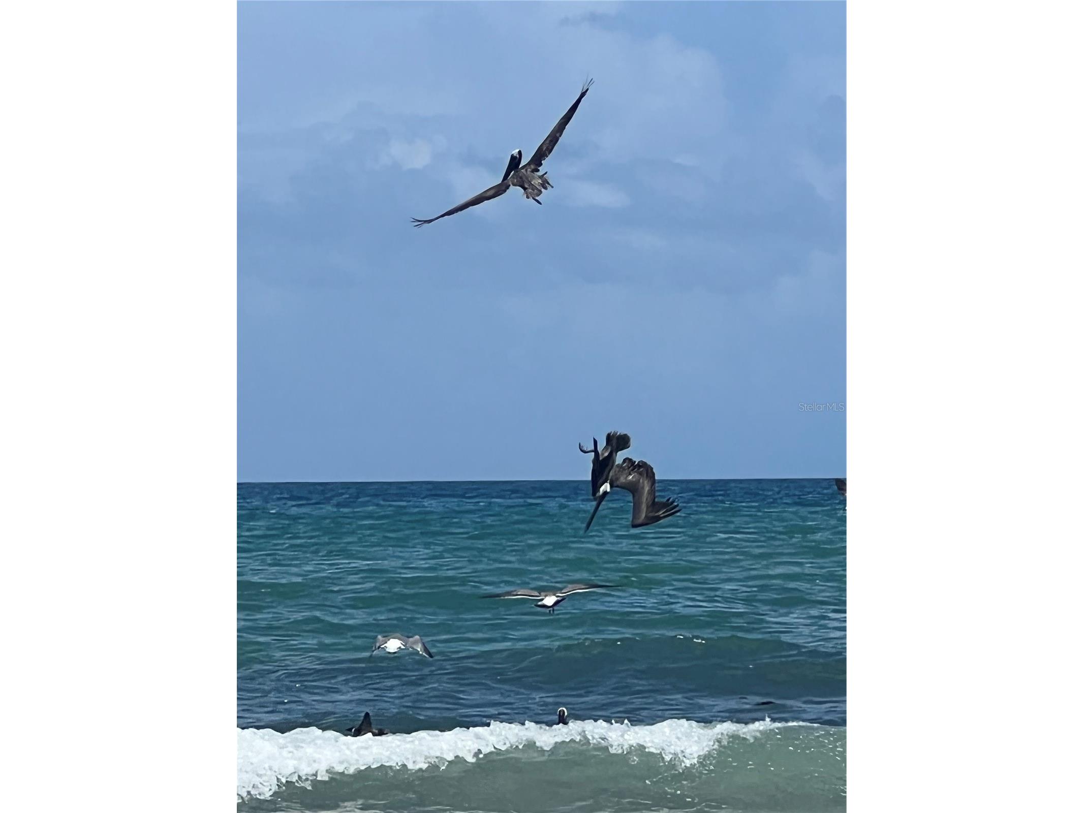 59 Ocean Street Palm Coast FL 32137 FC317118 image47