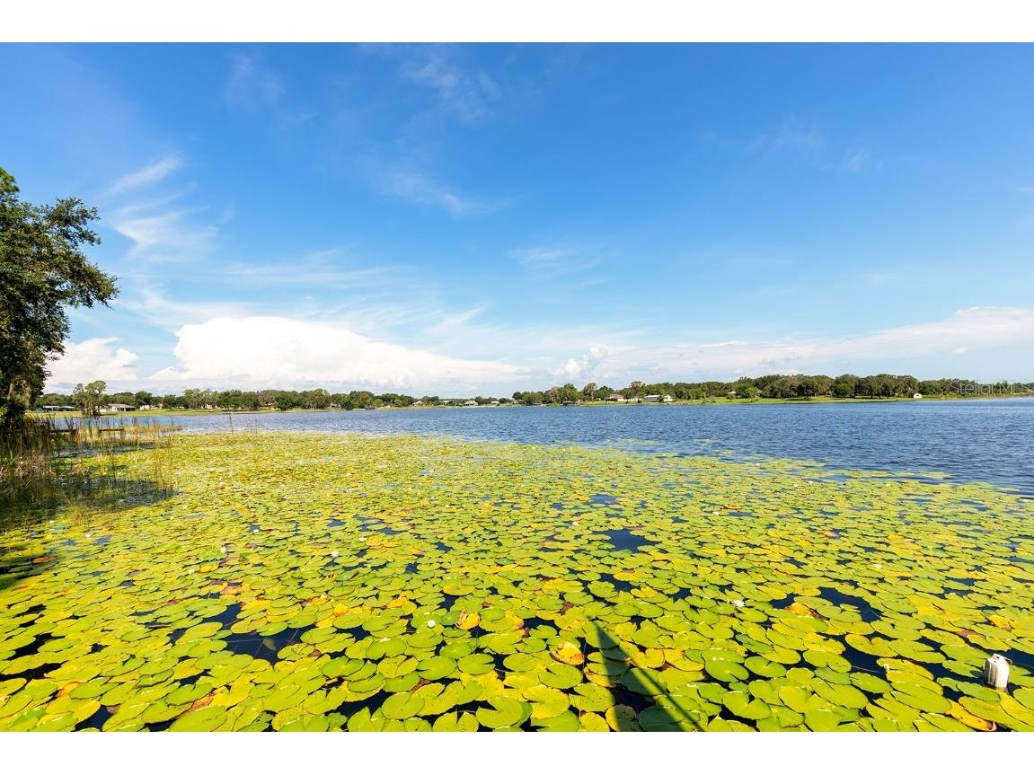 590 Crescent Street Umatilla FL 32784 - LAKE CRESCENT G5100308 image44