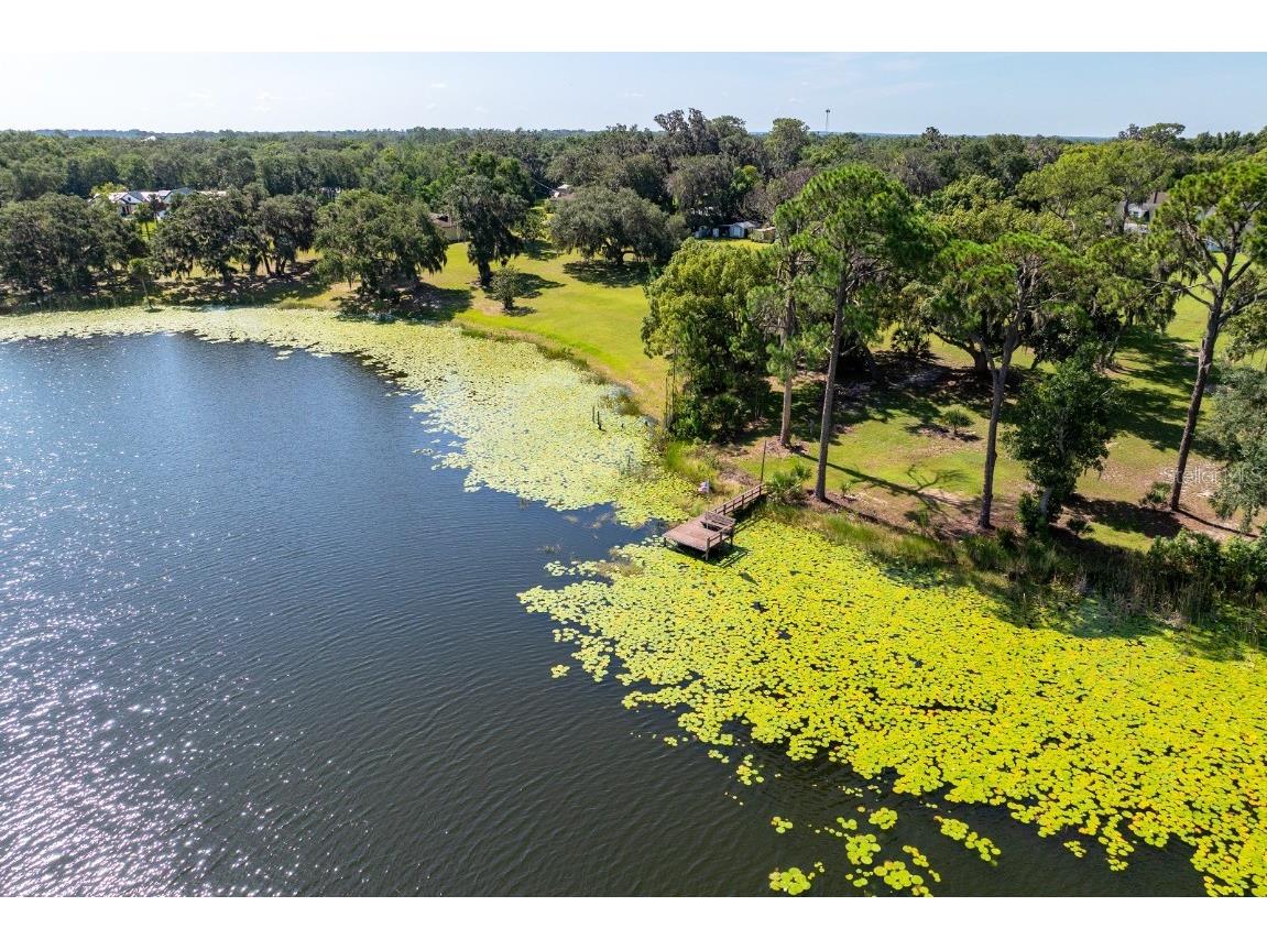 590 Crescent Street Umatilla FL 32784 - LAKE CRESCENT G5100308 image57