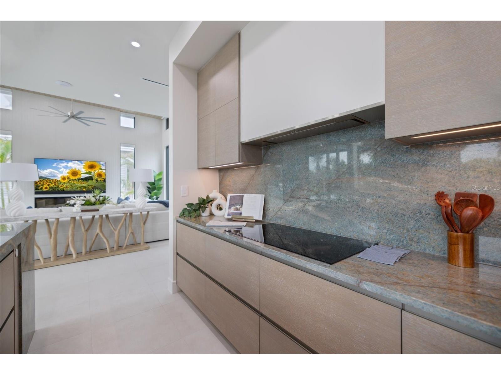 590 De Narvaez Drive Longboat Key FL 34228 A4677180 image20