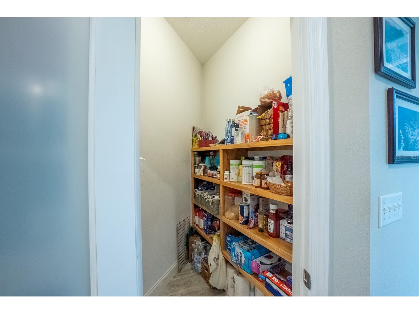 590 Shearwood Drive Flagler Beach FL 32136 FC317856 image8
