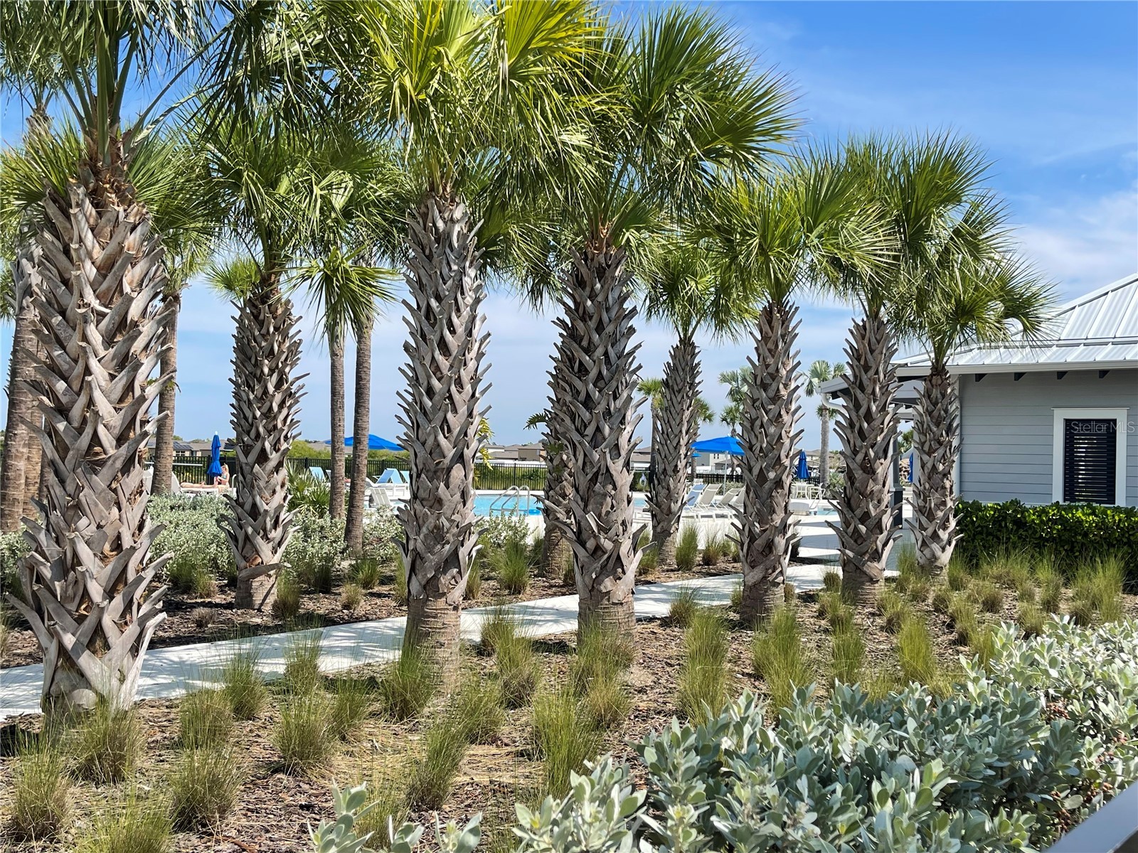 590 Sunlit Coral Street Ruskin FL 33570 TB8494456 image28