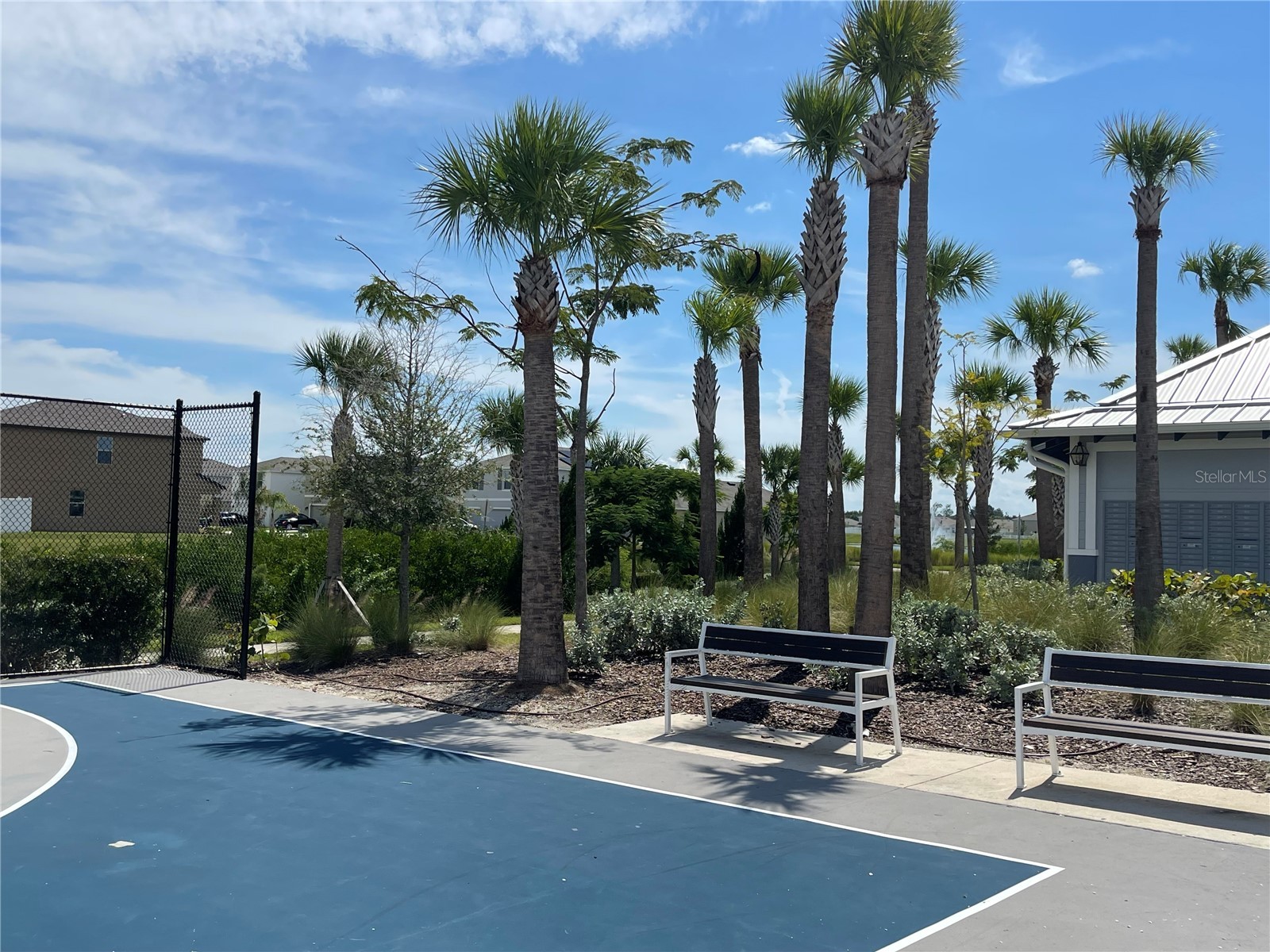 590 Sunlit Coral Street Ruskin FL 33570 TB8494456 image29