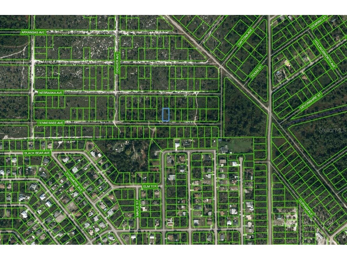 590 Tennessee Avenue Lake Placid FL 33852 OM625672 image1