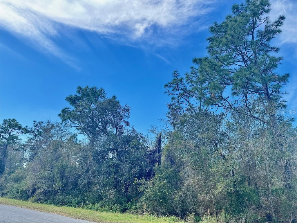 5900 Brentford Avenue Orlando FL 32833 O6176017 image1