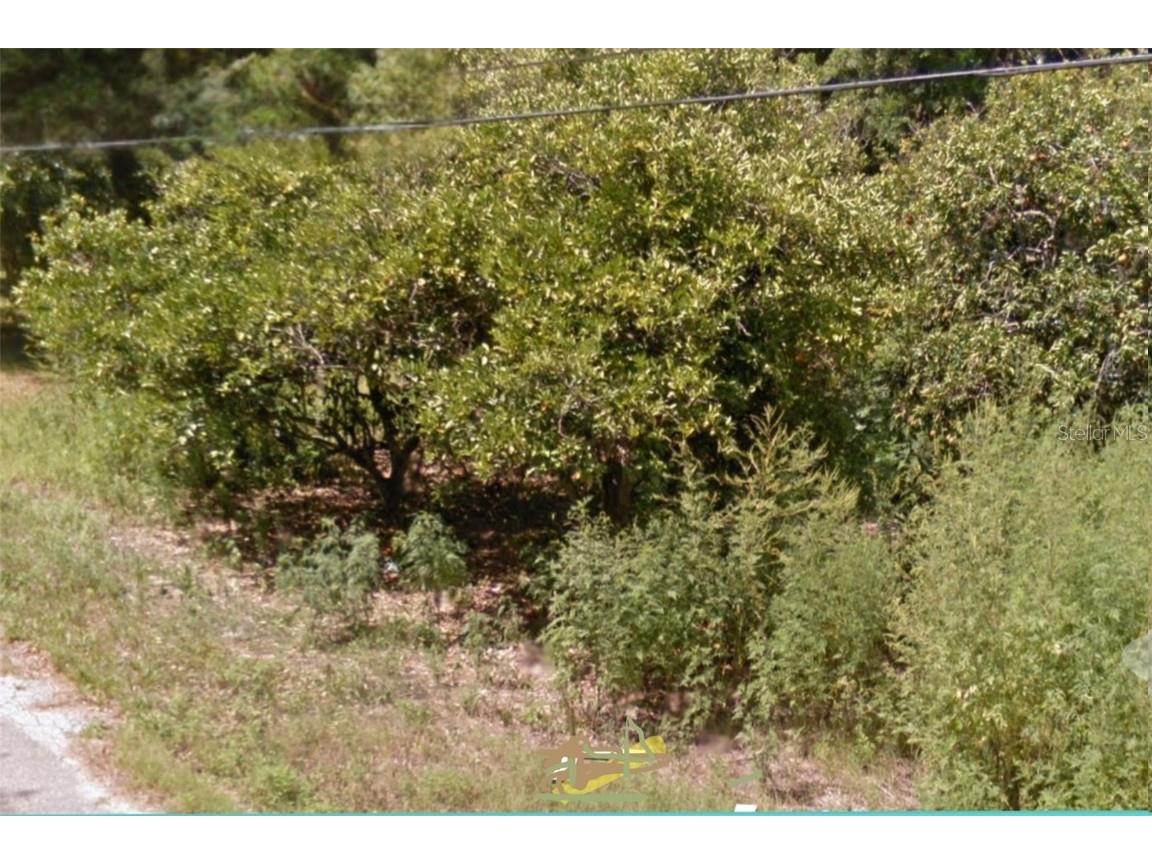 5900 Magnolia Street Mims FL 32754 O6239498 image1