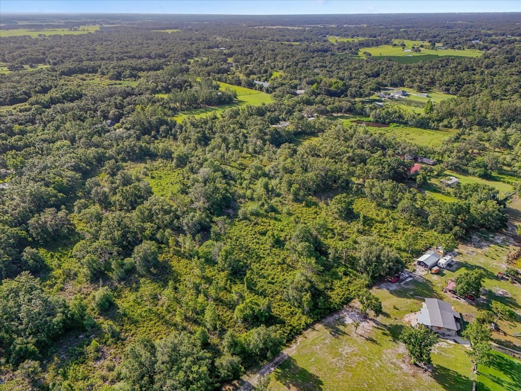 5900 N Dormany Road Plant City FL 33565 TB8403299 image10