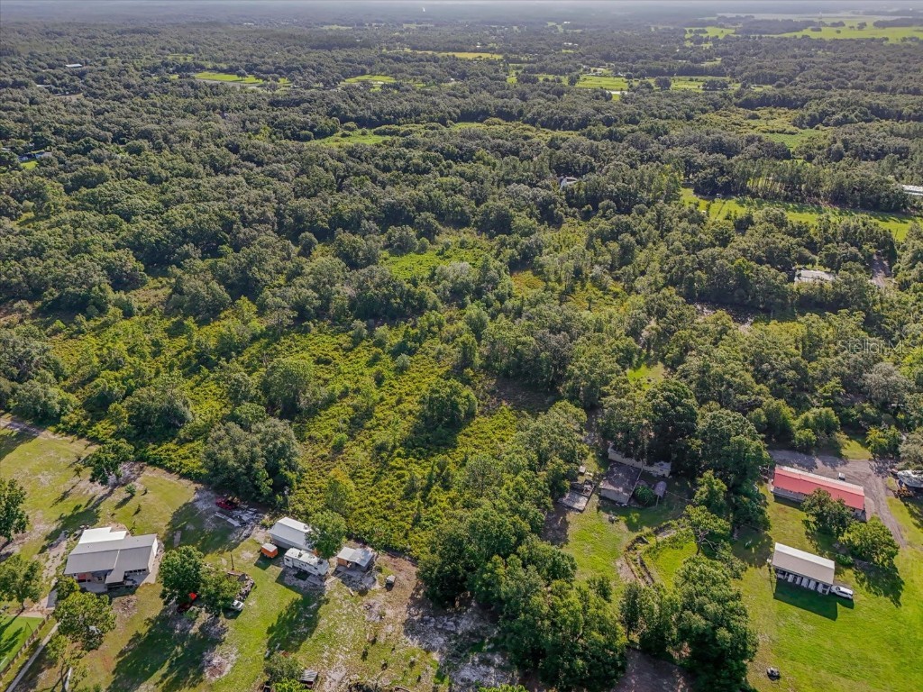 5900 N Dormany Road Plant City FL 33565 TB8403299 image11