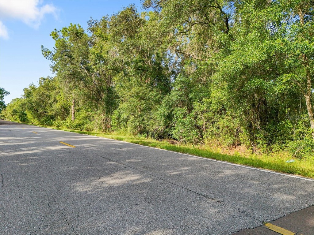 5900 N Dormany Road Plant City FL 33565 TB8403299 image12