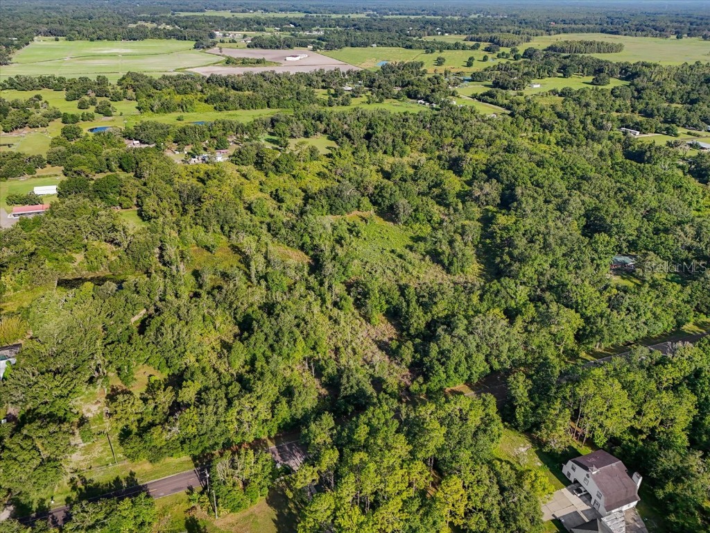 5900 N Dormany Road Plant City FL 33565 TB8403299 image2