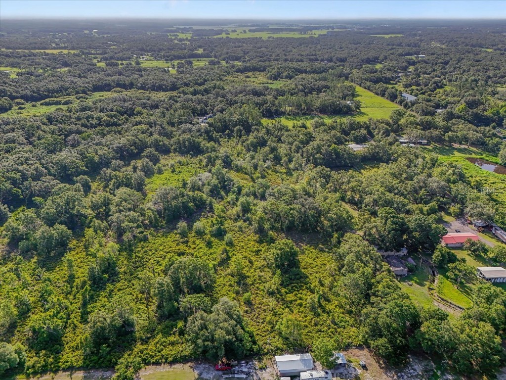 5900 N Dormany Road Plant City FL 33565 TB8403299 image4