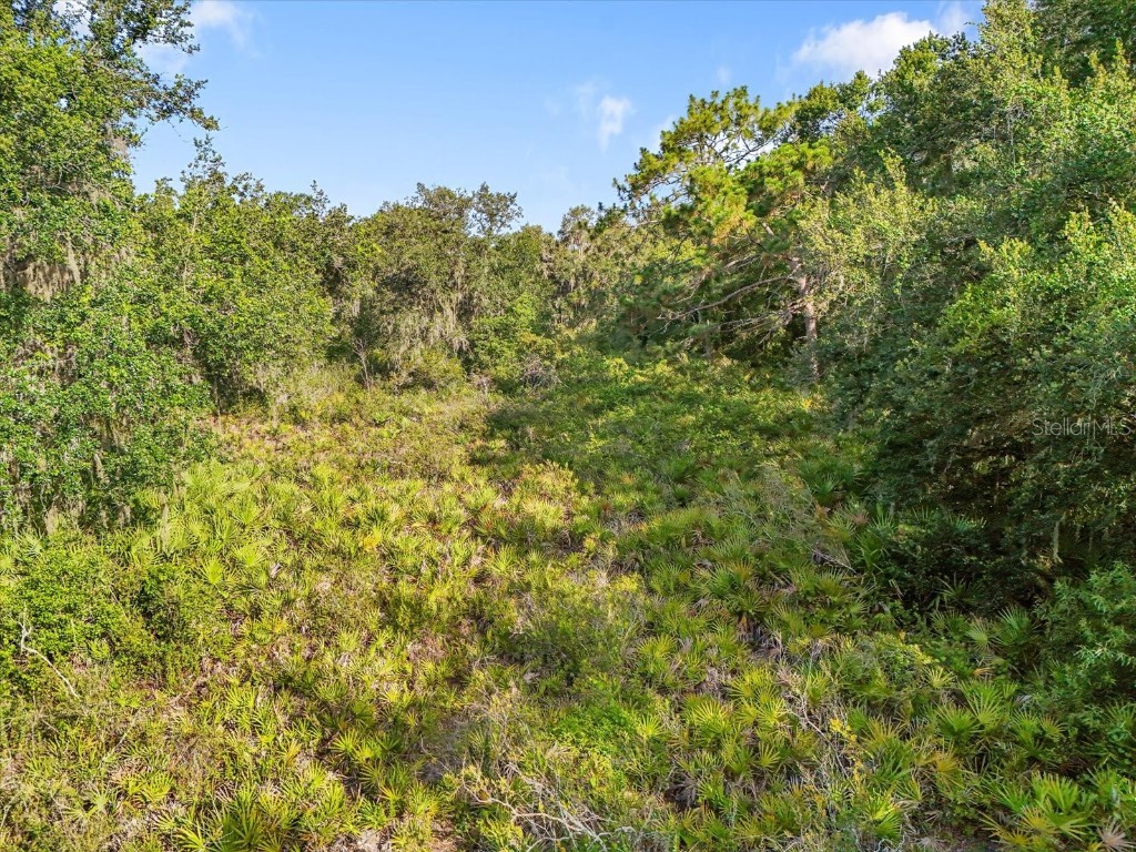 5900 N Dormany Road Plant City FL 33565 TB8403299 image6