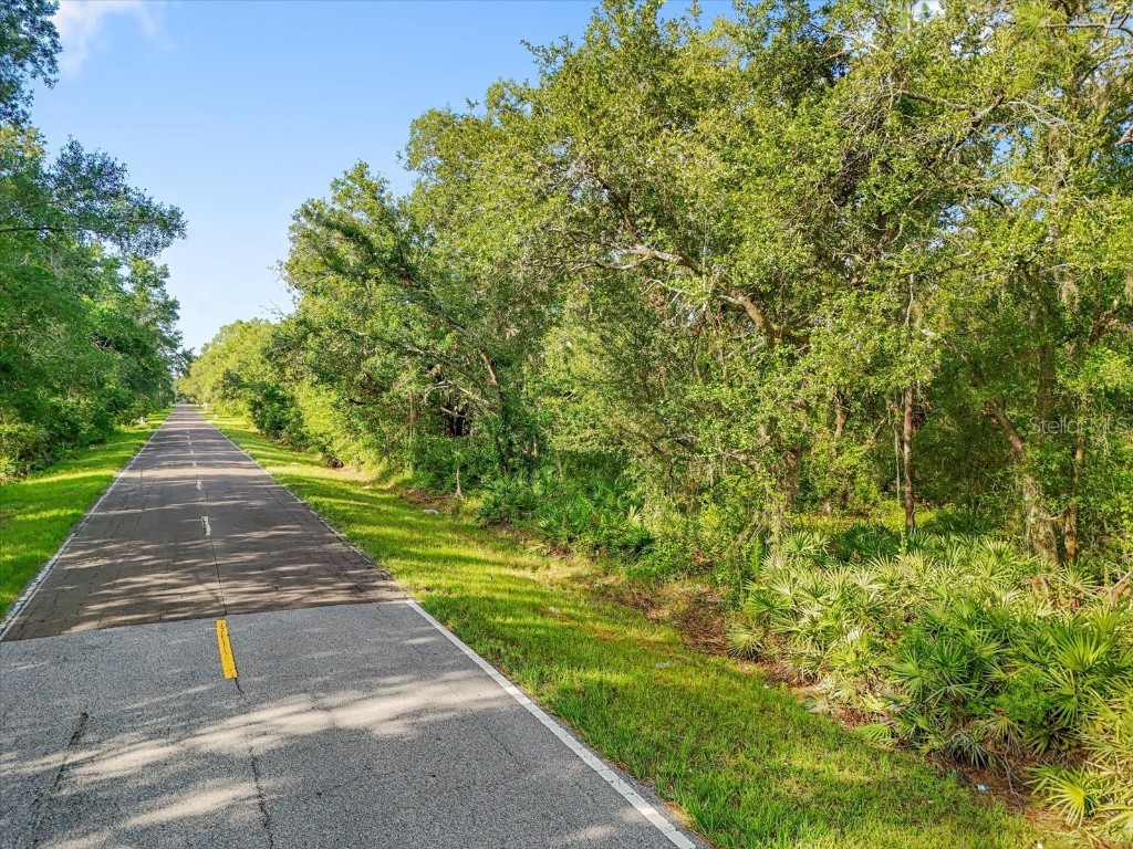 5900 N Dormany Road Plant City FL 33565 TB8403299 image8