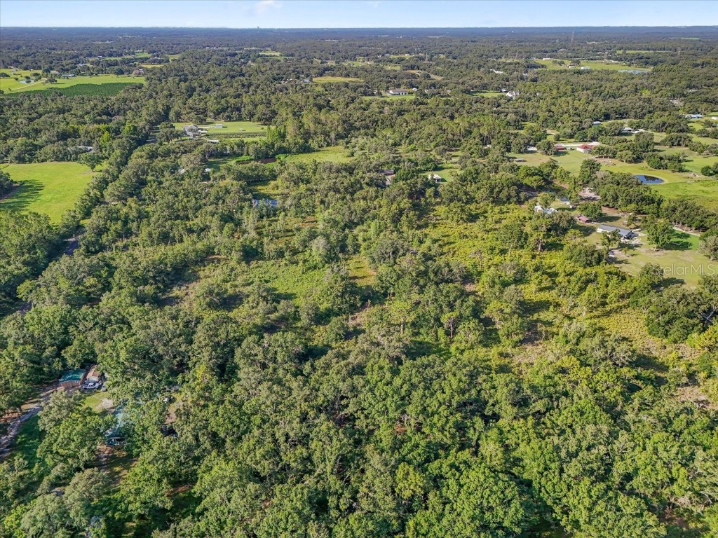 5900 N Dormany Road Plant City FL 33565 TB8403299 image9