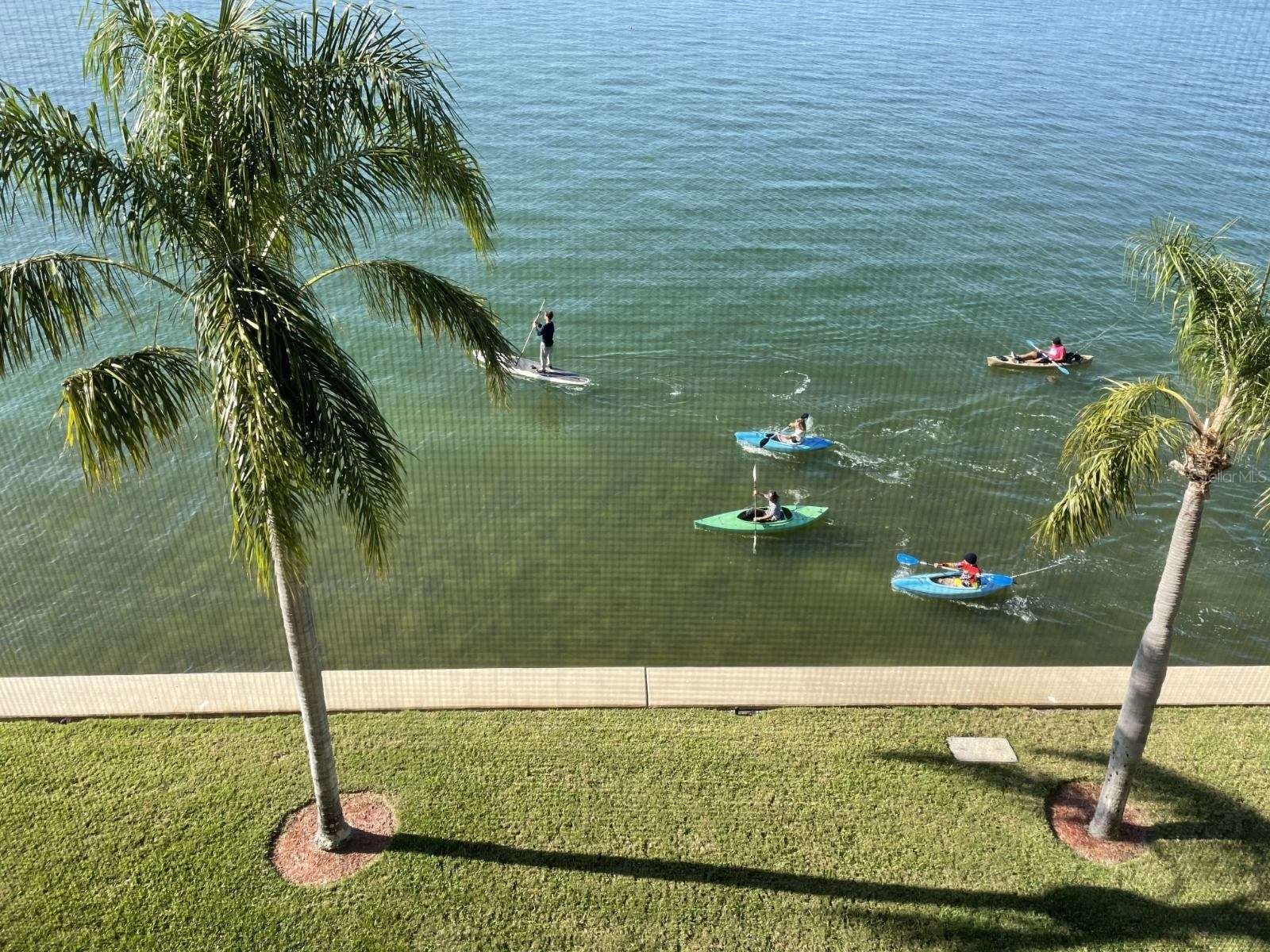 5900 Shore Boulevard S #402 Gulfport FL 33707 - BOCA CIEGA BAY TB8501621 image32