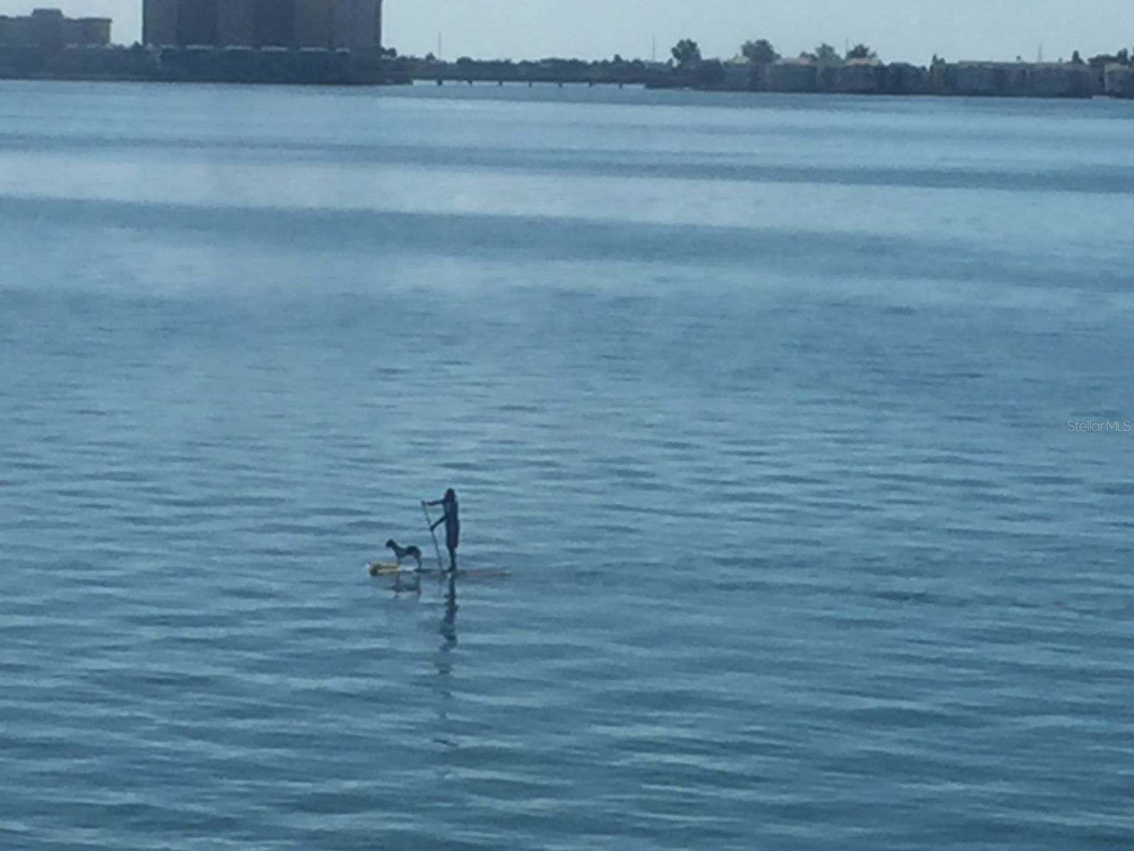 5900 Shore Boulevard S #402 Gulfport FL 33707 - BOCA CIEGA BAY TB8501621 image33