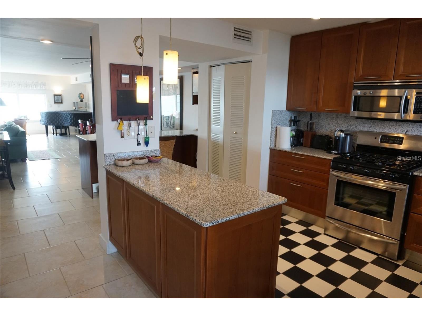 5900 Shore Boulevard S #402 Gulfport FL 33707 - BOCA CIEGA BAY TB8501621 image7