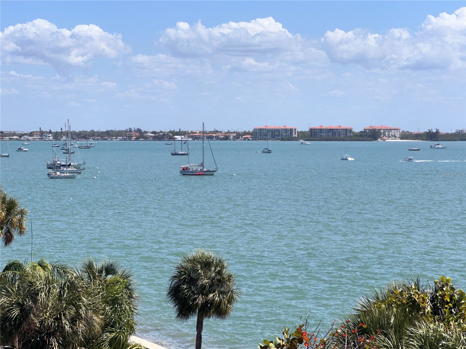 5900 Shore Boulevard S #504 Gulfport FL 33707 TB8479048 image20