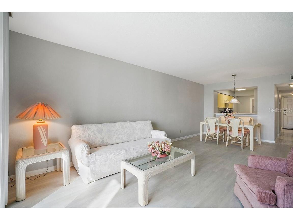 5901 Bahia Del Mar Circle #221 Saint Petersburg FL 33715 - INTRACOASTAL WATERWAY U8240185 image10