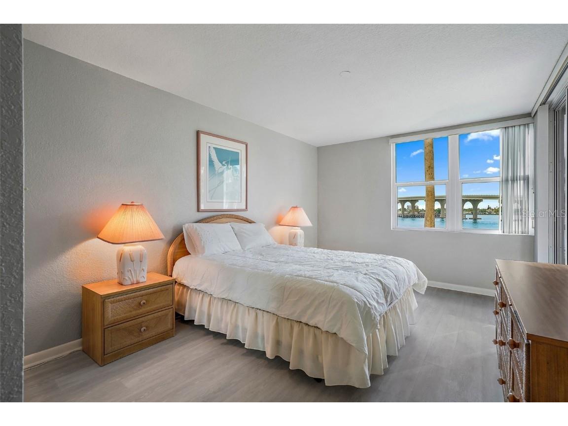 5901 Bahia Del Mar Circle #221 Saint Petersburg FL 33715 - INTRACOASTAL WATERWAY U8240185 image14
