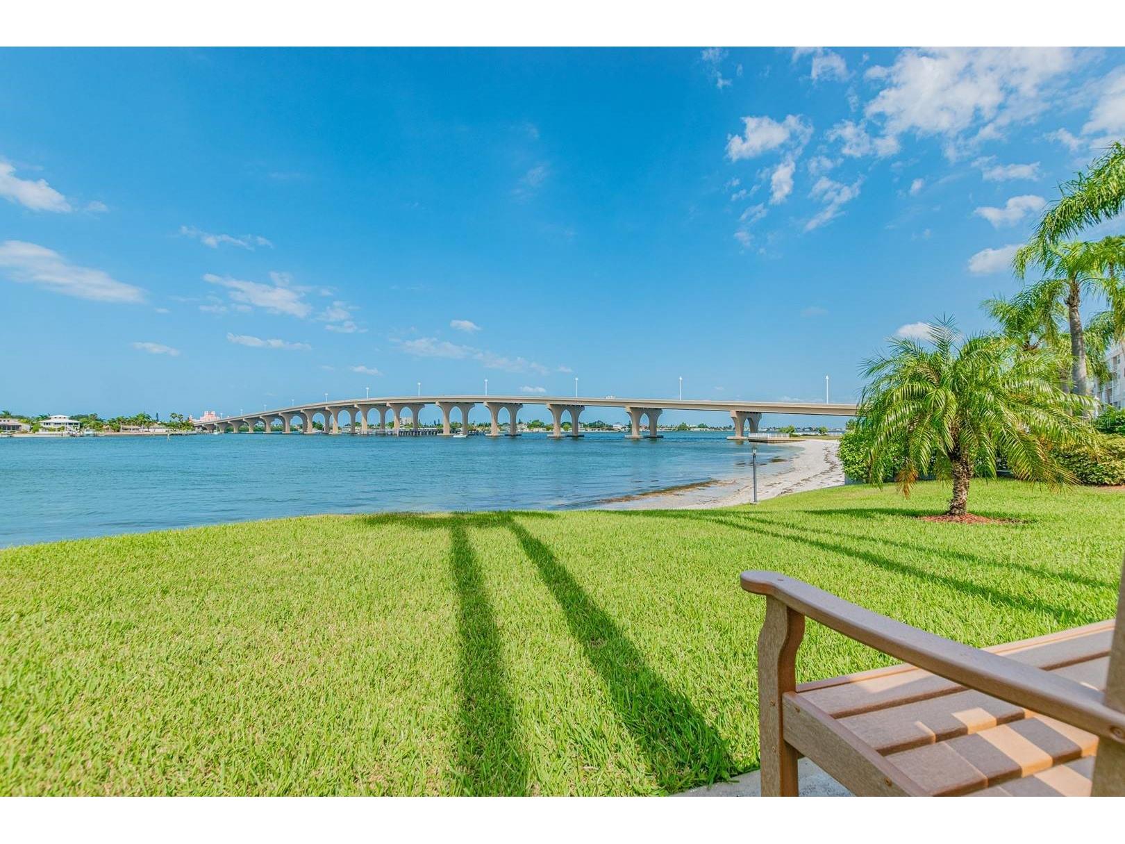 5901 Bahia Del Mar Circle #223 Saint Petersburg FL 33715 TB8474669 image28
