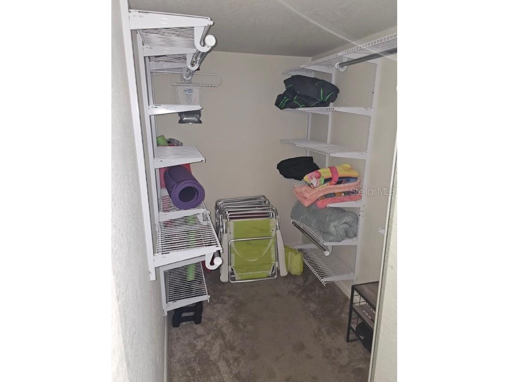 5901 Bahia Del Mar Circle #321 Saint Petersburg FL 33715 TB8425399 image19