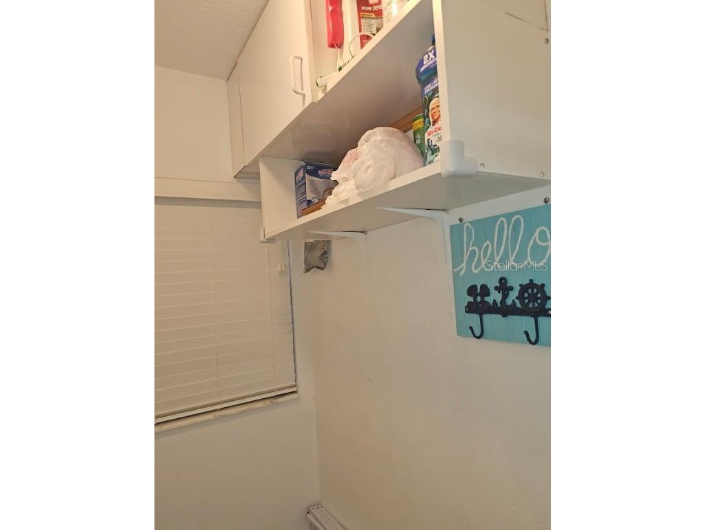 5901 Bahia Del Mar Circle #321 Saint Petersburg FL 33715 TB8425399 image29