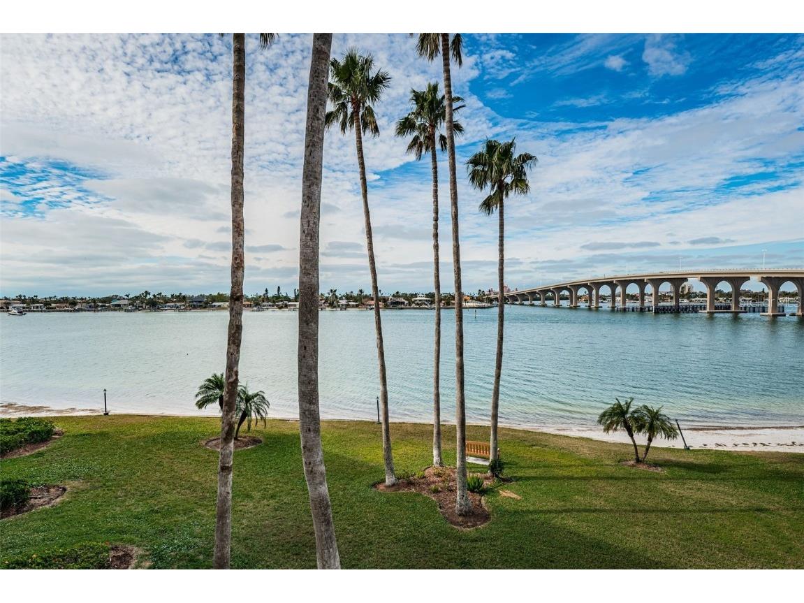 5901 Bahia Del Mar Circle #321 Saint Petersburg FL 33715 TB8425399 image39