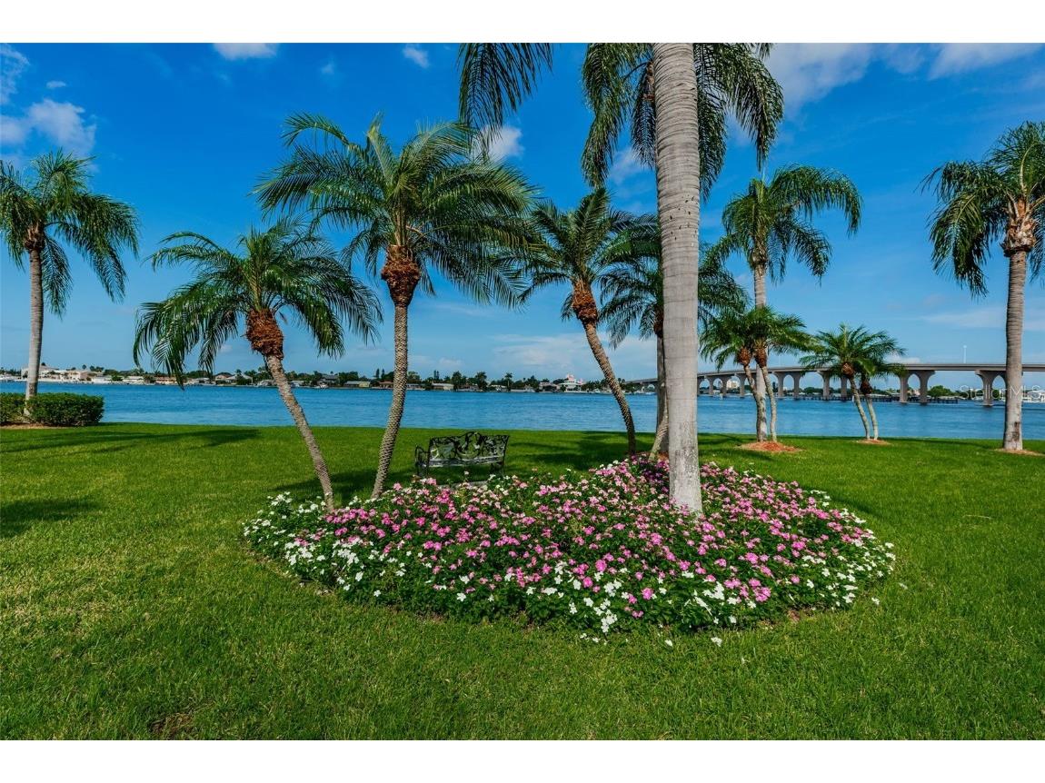 5901 Bahia Del Mar Circle #321 Saint Petersburg FL 33715 TB8425399 image40