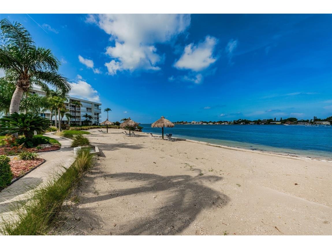 5901 Bahia Del Mar Circle #321 Saint Petersburg FL 33715 TB8425399 image41