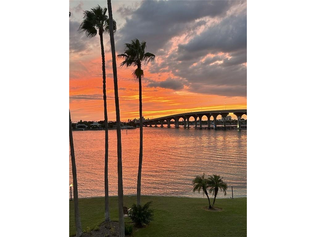 5901 Bahia Del Mar Circle #321 Saint Petersburg FL 33715 TB8425399 image45