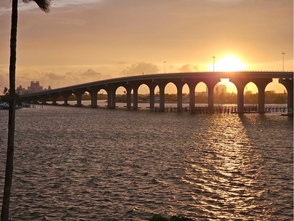 5901 Bahia Del Mar Circle #321 Saint Petersburg FL 33715 TB8425399 image47