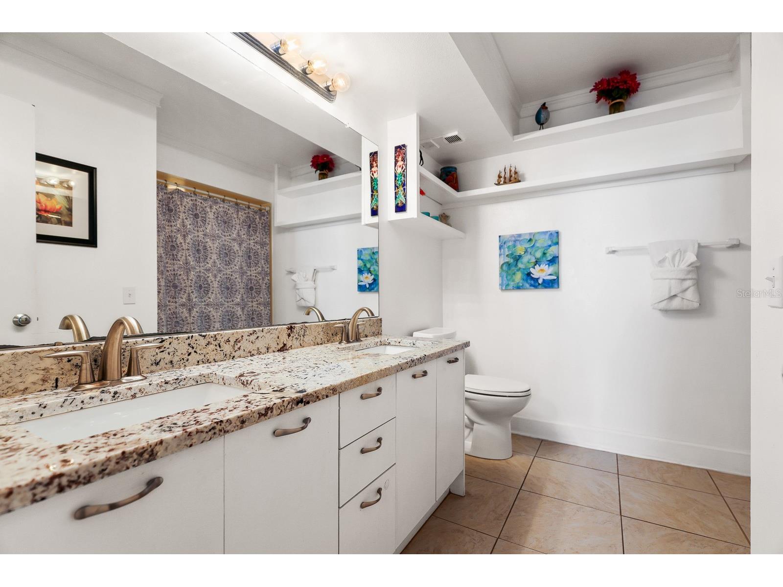 5901 Bahia Del Mar Circle #521 Saint Petersburg FL 33715 - INTERCOASTAL WATERWAY TB8458656 image28