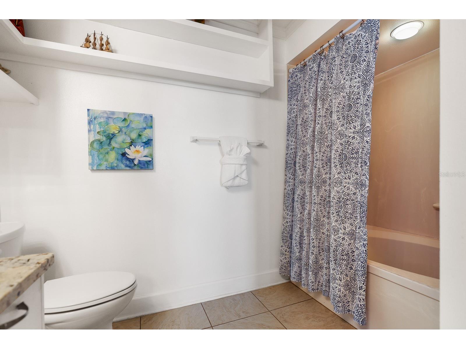 5901 Bahia Del Mar Circle #521 Saint Petersburg FL 33715 - INTERCOASTAL WATERWAY TB8458656 image30